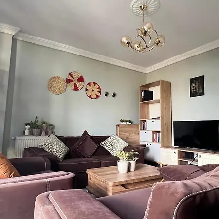 Mika Homes *