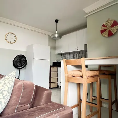 Mika Homes